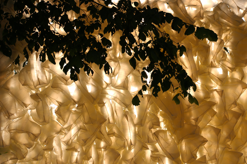 Illustration for article titled Weird Art Brings Plastic Shopping Bags Closer to Nature